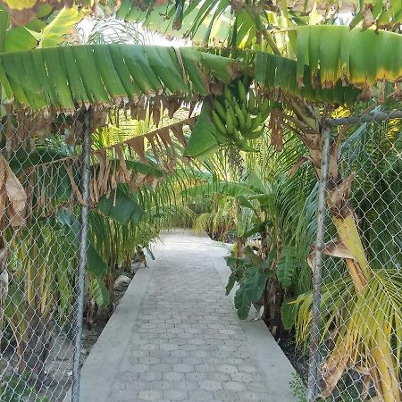 Auberge Pont-Gaudin Gonaives Esterno foto