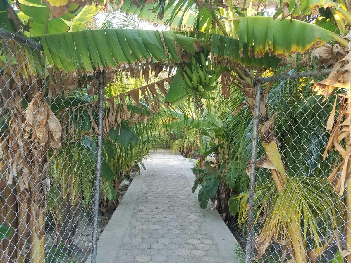 Auberge Pont-Gaudin Gonaives Esterno foto